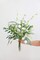 Artificial Greenery Spray Box Set(Pack of 50pcs) with 8 Kinds of DIY Wedding Bouquet Filler Table Centerpieces and Floral Arrangement (Spring Green)